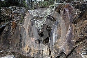 Coa River Ã¢â¬â Prehistoric Rock Engravings photo